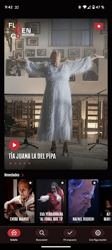 Flamenco Auditorio Screen 2