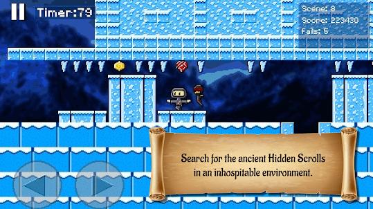 Hidden Scrolls Flappy Ninja 2