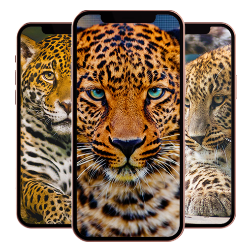 Leopard Wallpaper Download on Windows
