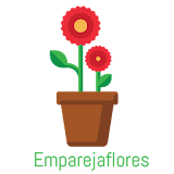 Emparejaflowers icon