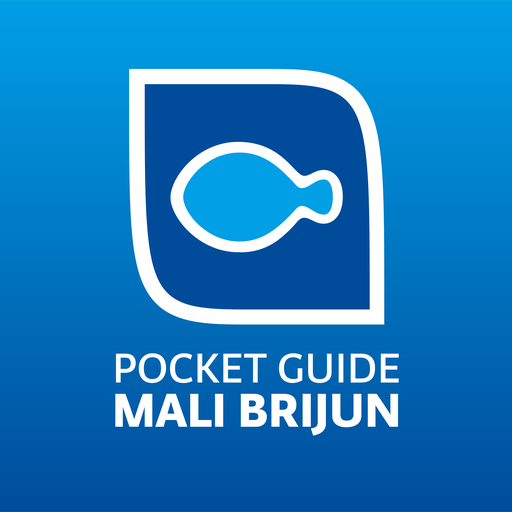 Mali Brijun Guide logo