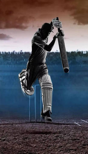 IPL 2024 : Live Cricket Scores Screen 3
