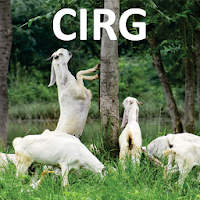 CIRG - Goat Farming (बकरी पालन / வெள்ளாடு/ ಆಡು)