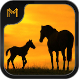 Name that Horse Breed Trivia icon