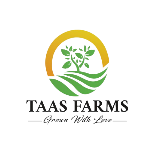 TaaSfarms Sales Monitoring Download on Windows