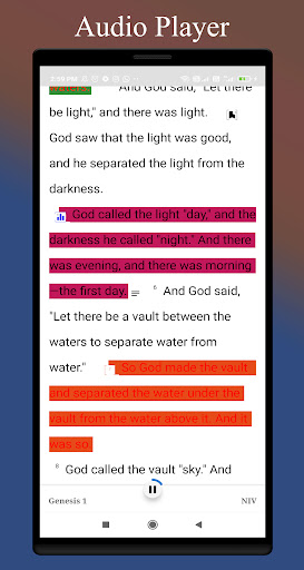 NIV Bible Offline Screen 2