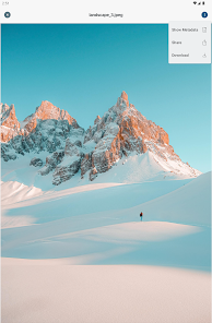 Screenshot image