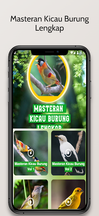 Masteran Kicau Burung Lengkap - 3.2.4 - (Android)