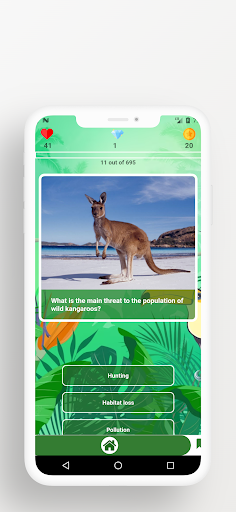 Animal Quiz Screen 3
