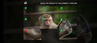 Game screenshot Picture Puzzle LF mod apk