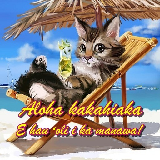 Android application Good morning-Hawaiian screenshort