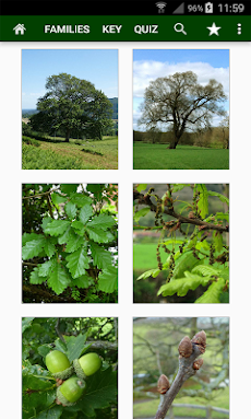 Trees of Britainのおすすめ画像5