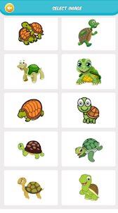 Turtles Coloring