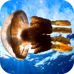 Cover Image of Download Jellyfish Video Live Wallpaper  APK