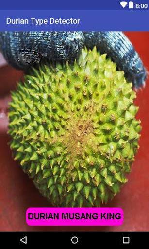 DURIAN TYPE DETECTOR 1.0