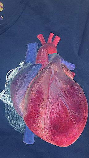 Sisanda App Universe