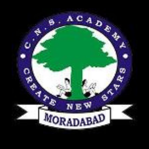 CNS ACADEMY - Moradabad logo