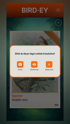 BIRDEY screenshot 4