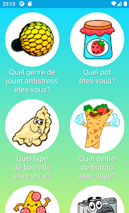 Aperçu de l'application