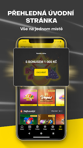 Fortuna Casino Screen 2