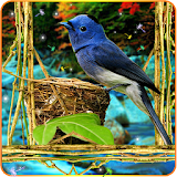 3D Birds Live Wallpaper for S5 icon