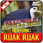 Cover Image of ดาวน์โหลด Suara Pemikat Burung Ruak Ruak Offline 1.3 APK