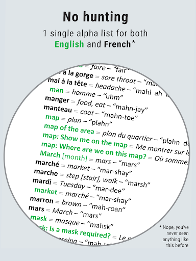 Just-in-Time French Phrasebook
