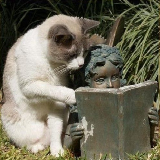 Funny photos Screen 2