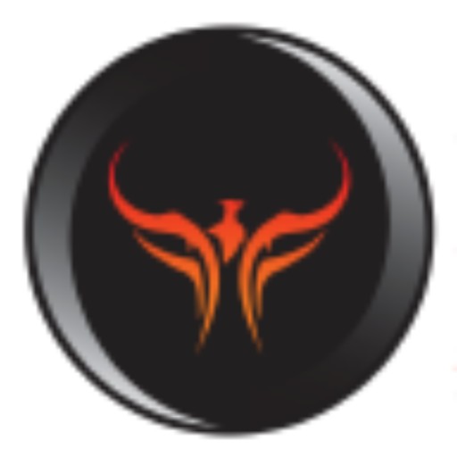 NDS ProRide logo