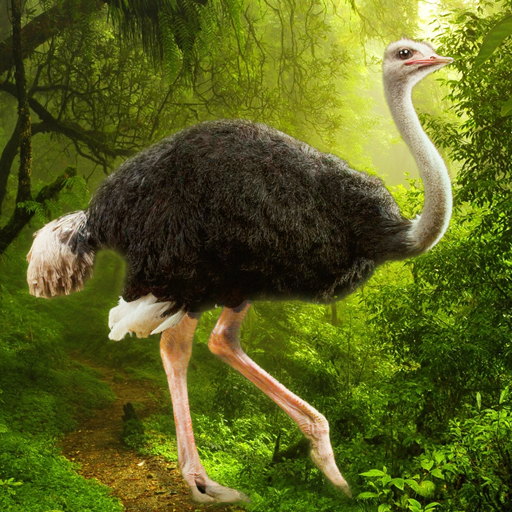 The Ostrich logo