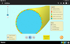 screenshot of Chemistry & Physics simulation