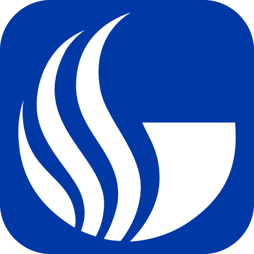 Georgia State Self Checkout logo