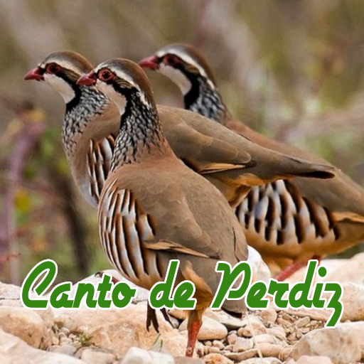 Canto de Perdiz logo
