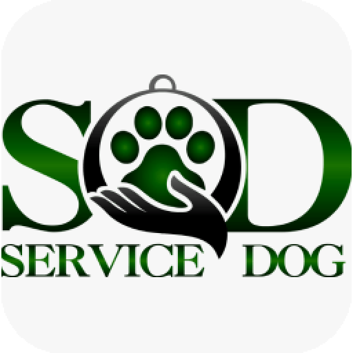 Service Dog Arezzo
