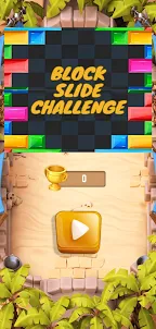 Block Slide Challenge