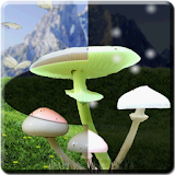 Magic Mushrooms LWP HD icon