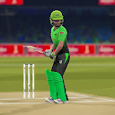 Pakistan Cricket League Game APK
