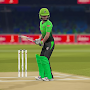 Pakistan Cricket League Game