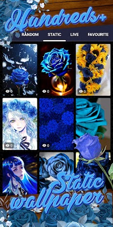 青いバラの壁紙のおすすめ画像4