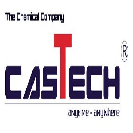CasTech logo