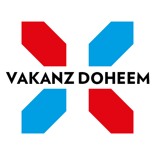 Vakanz Doheem  Icon