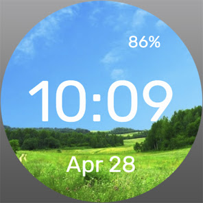 Screenshot image