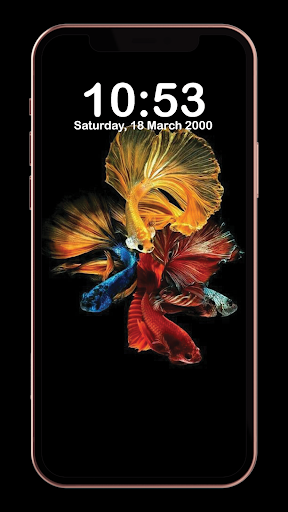 Fish Wallpaper 4K-HD