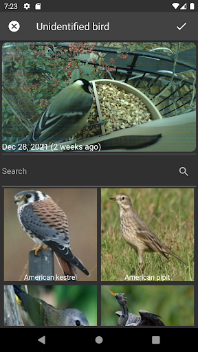 Happy Birds Screen 3