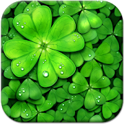 Lucky Charms Live Wallpaper  Icon