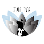Cover Image of Download גבעת החיות בקליק  APK