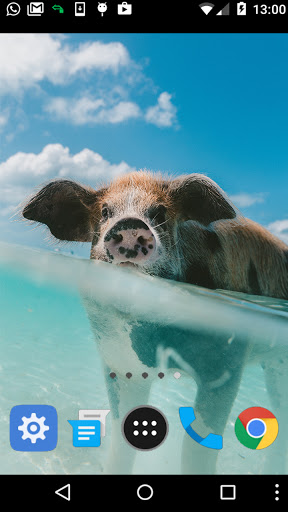 piglet wallpaper Screen 2