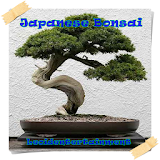 Japanese bonsai icon
