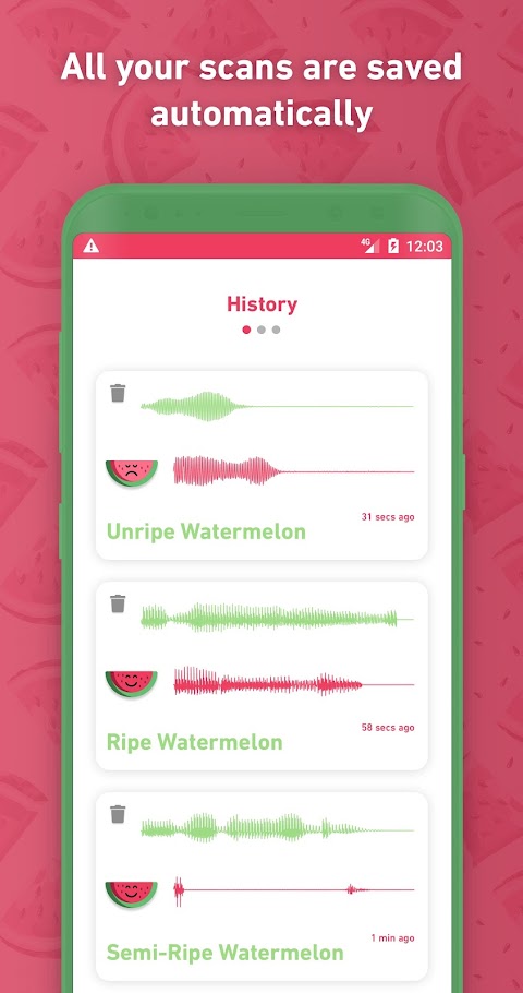 Melony: World First Watermelonのおすすめ画像5