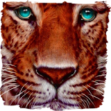 Beautiful tiger live paper icon